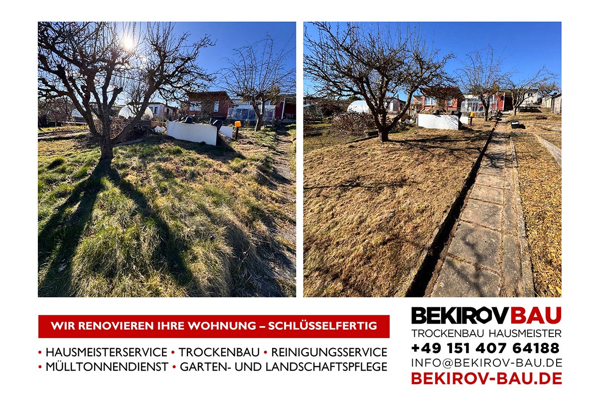 Gartenweg vor und nach Reinigung und Rasenpflege