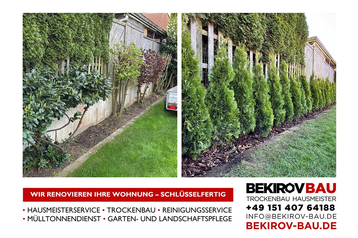 Garten vor und nach Einpflanzen von Thuja-Hecken